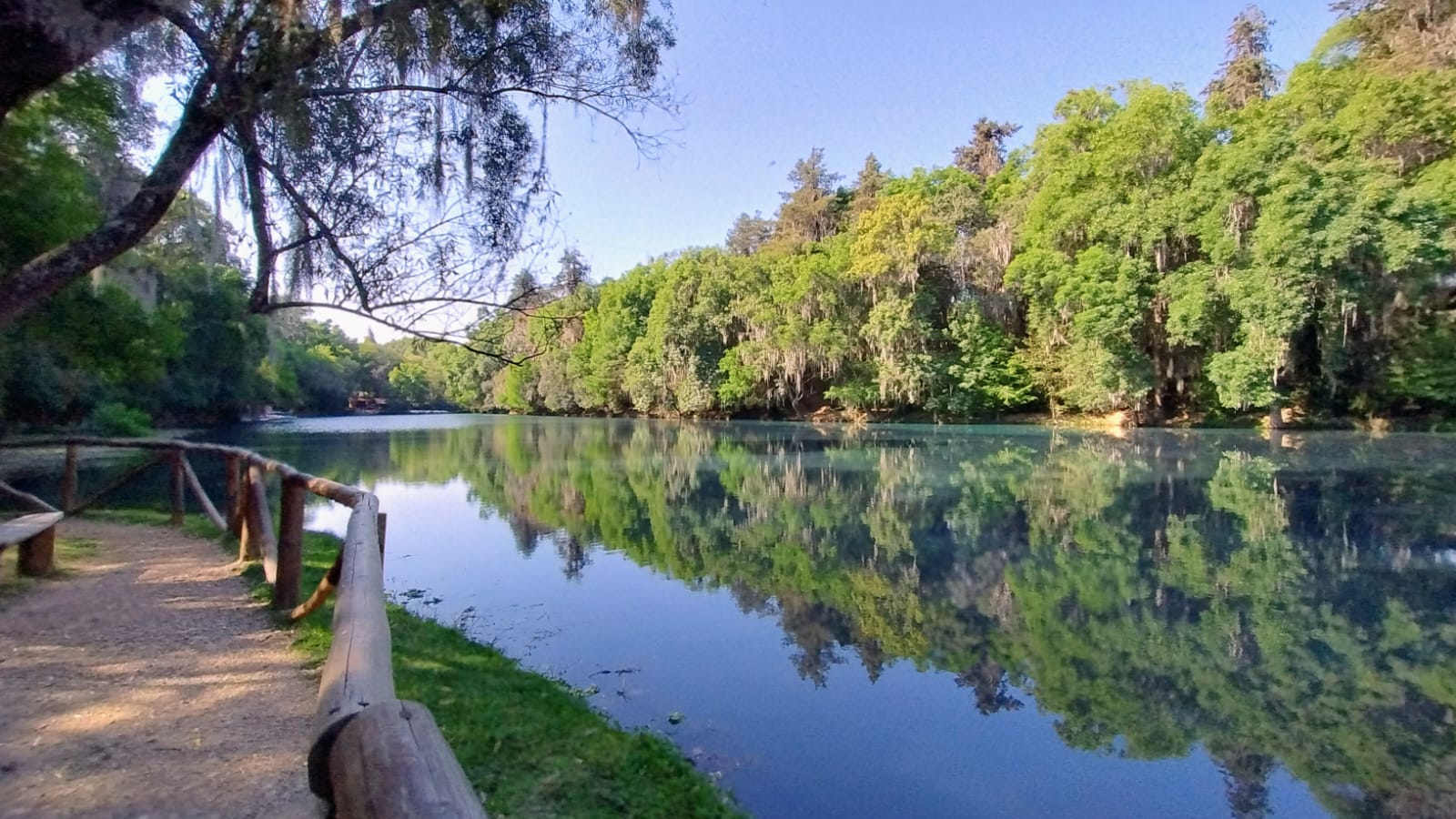Bosque de las truchas, Hidalgo
