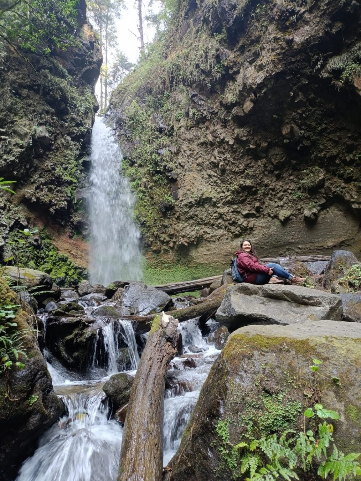 Cascada la burbuja, amecameca, caida de agua y troncos