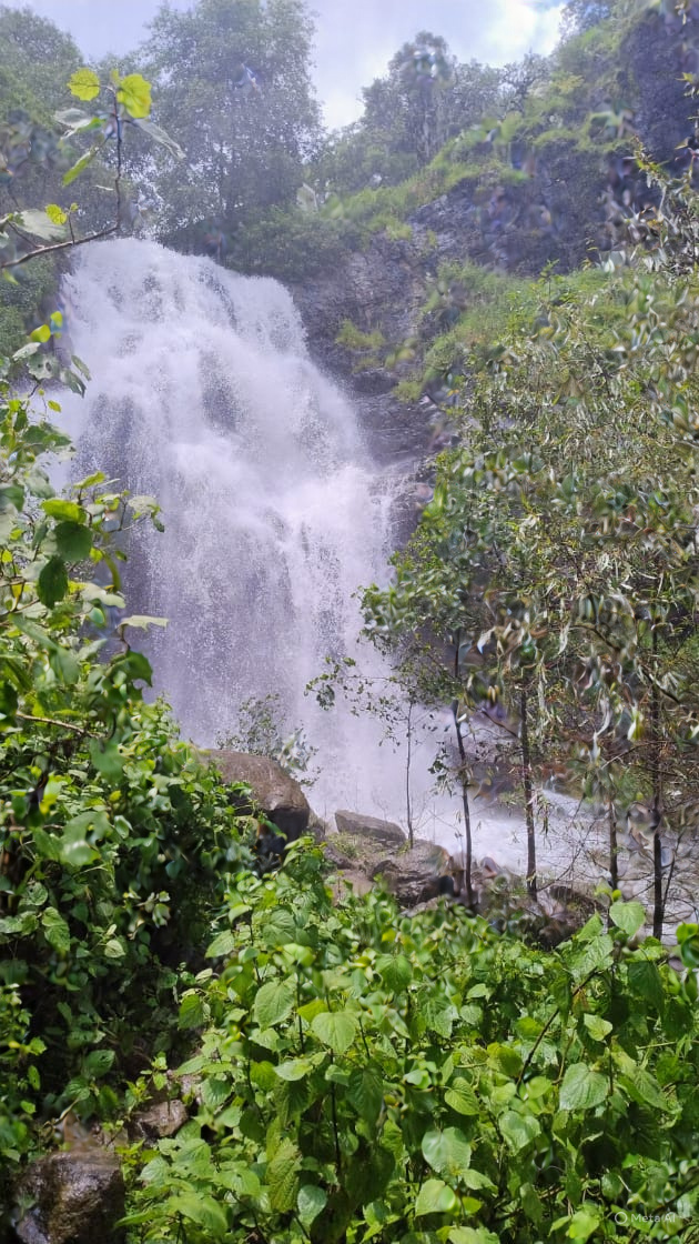 Cascada, zona arbolada, y con vegetación Hidalgo