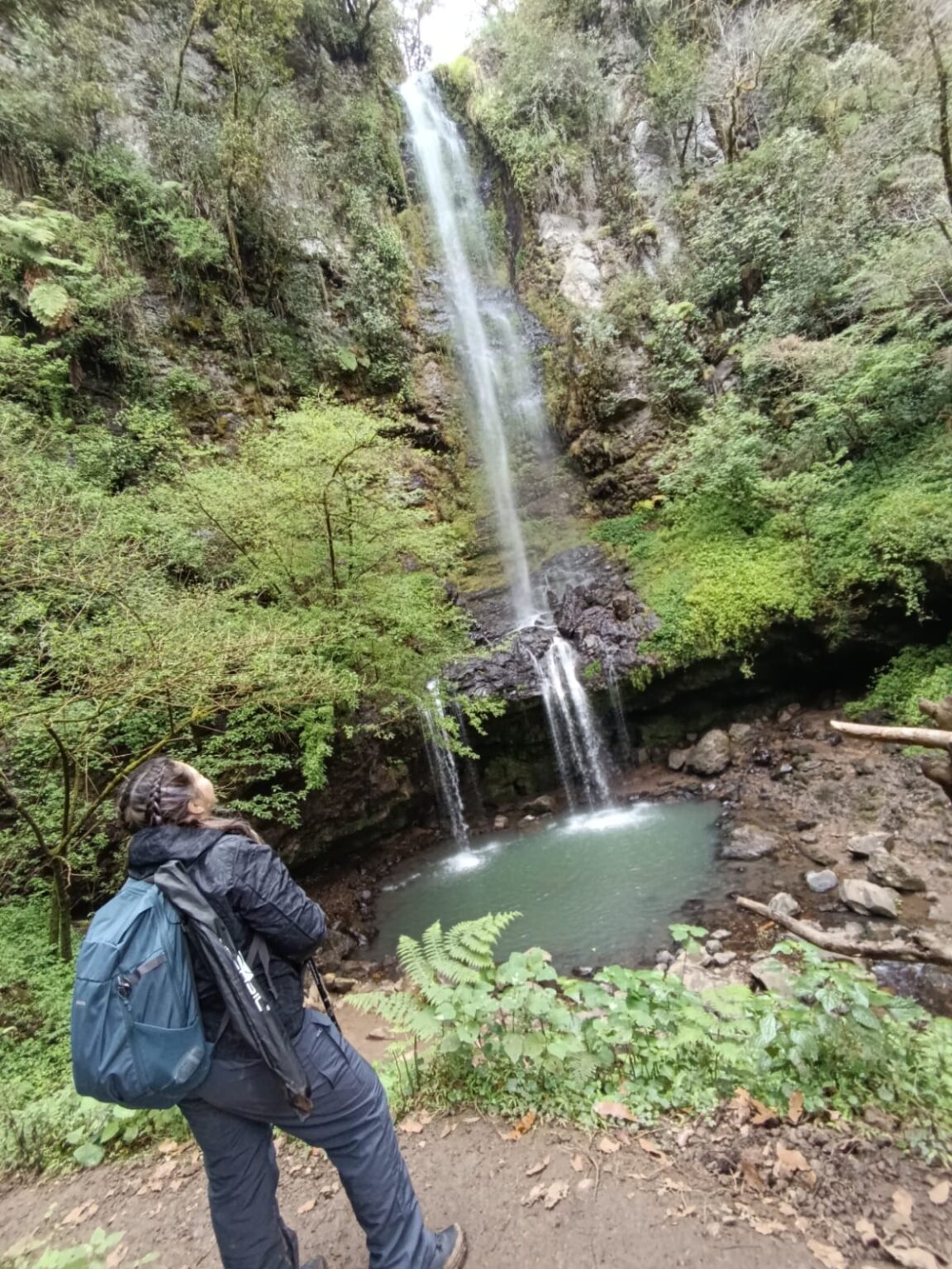 Cascadas Honey puebla, mujer senderista, cascada, y bosque
