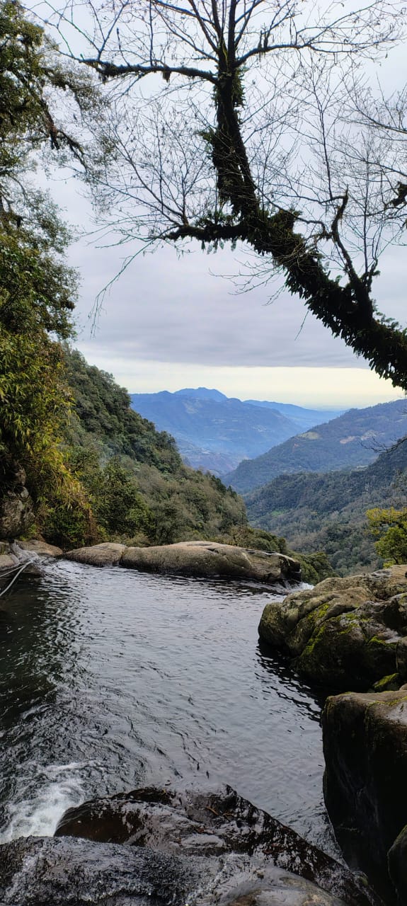 Cascadas honey Puebla